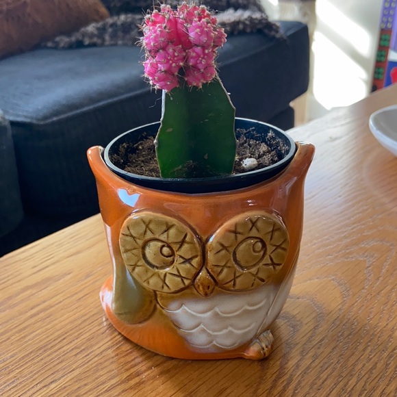 Other - Orange Owl Ceramic Planter
